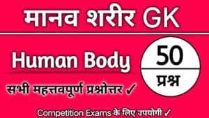 human body questions