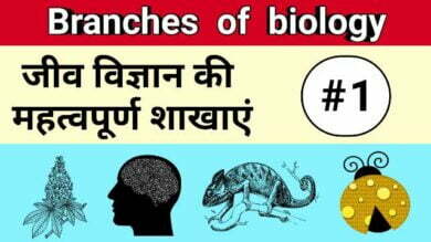 Branches of biology