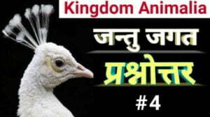 kingdom animalia quiz