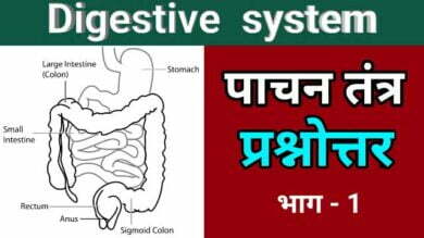 Digestive system questions