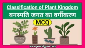 Classification of plant kingdom mcq