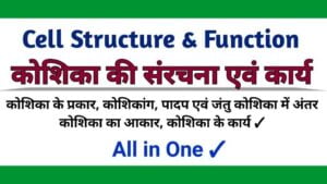 cell structure, function, organelles and types