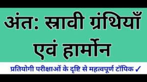 Endocrine-Glands-in-hindi