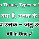 tissue class 9 science chapter 6. what is tissue, types of tissue