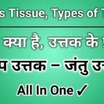 tissue class 9 science chapter 6. what is tissue, types of tissue