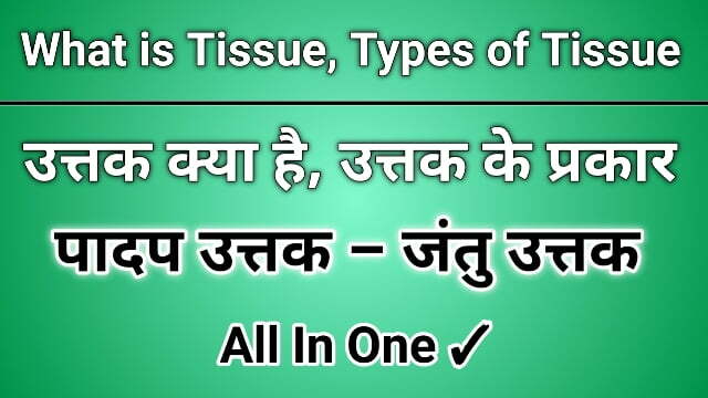 tissue class 9 science chapter 6. what is tissue, types of tissue 